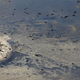 Illustration for article titled Rios Olympic Site Looks Even Worse From the Air